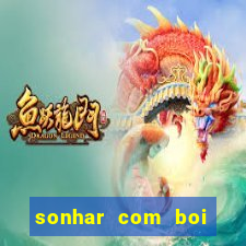 sonhar com boi jogo do bicho